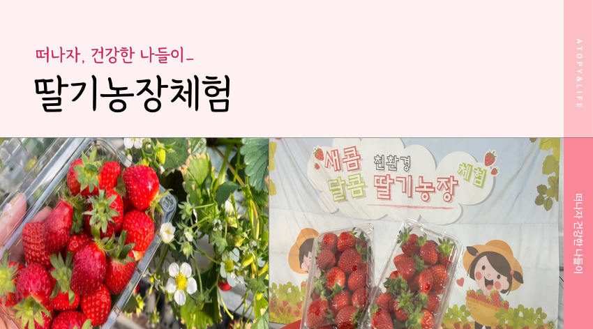 떠나자 건강한 나들이